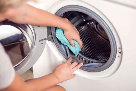 Dlaczego dbanie o czystość kołnierza w naszej pralce jest takie ważne?