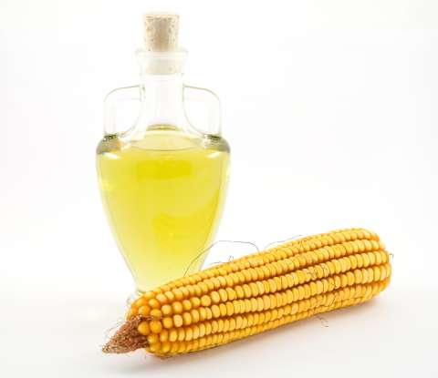 Kukurydza - walory złocistych kolb