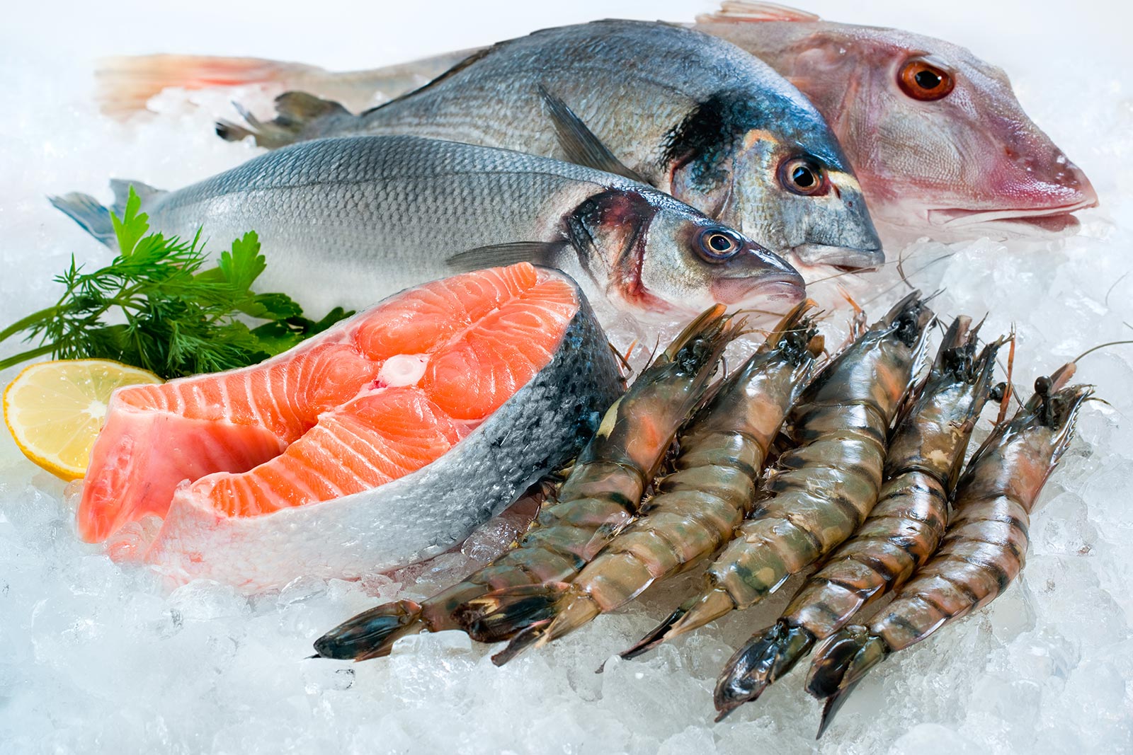 Ryby i owoce morza - składnik zdrowej diety