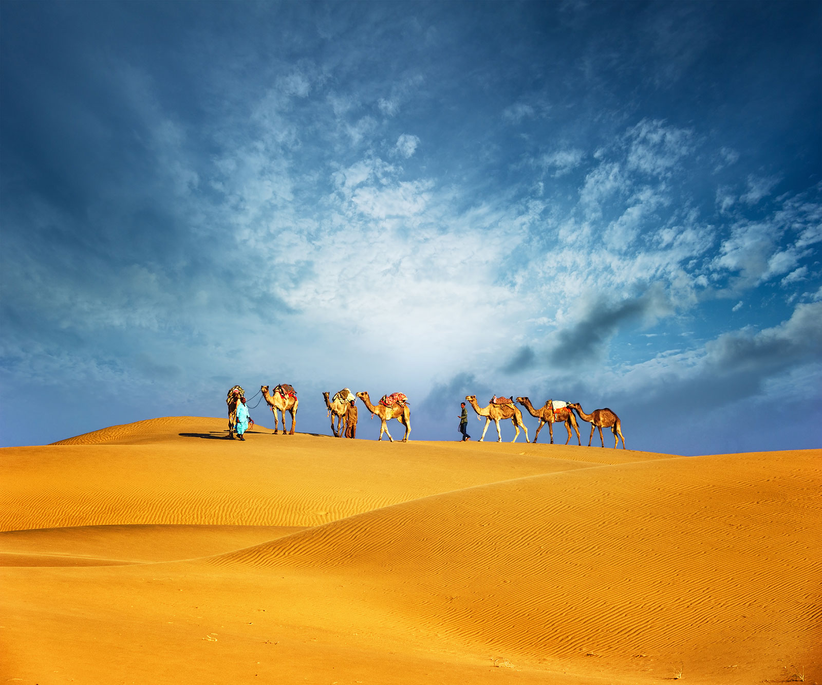 Tunezja - na wielbłądzie przez pustynie aż do złotej plaży
